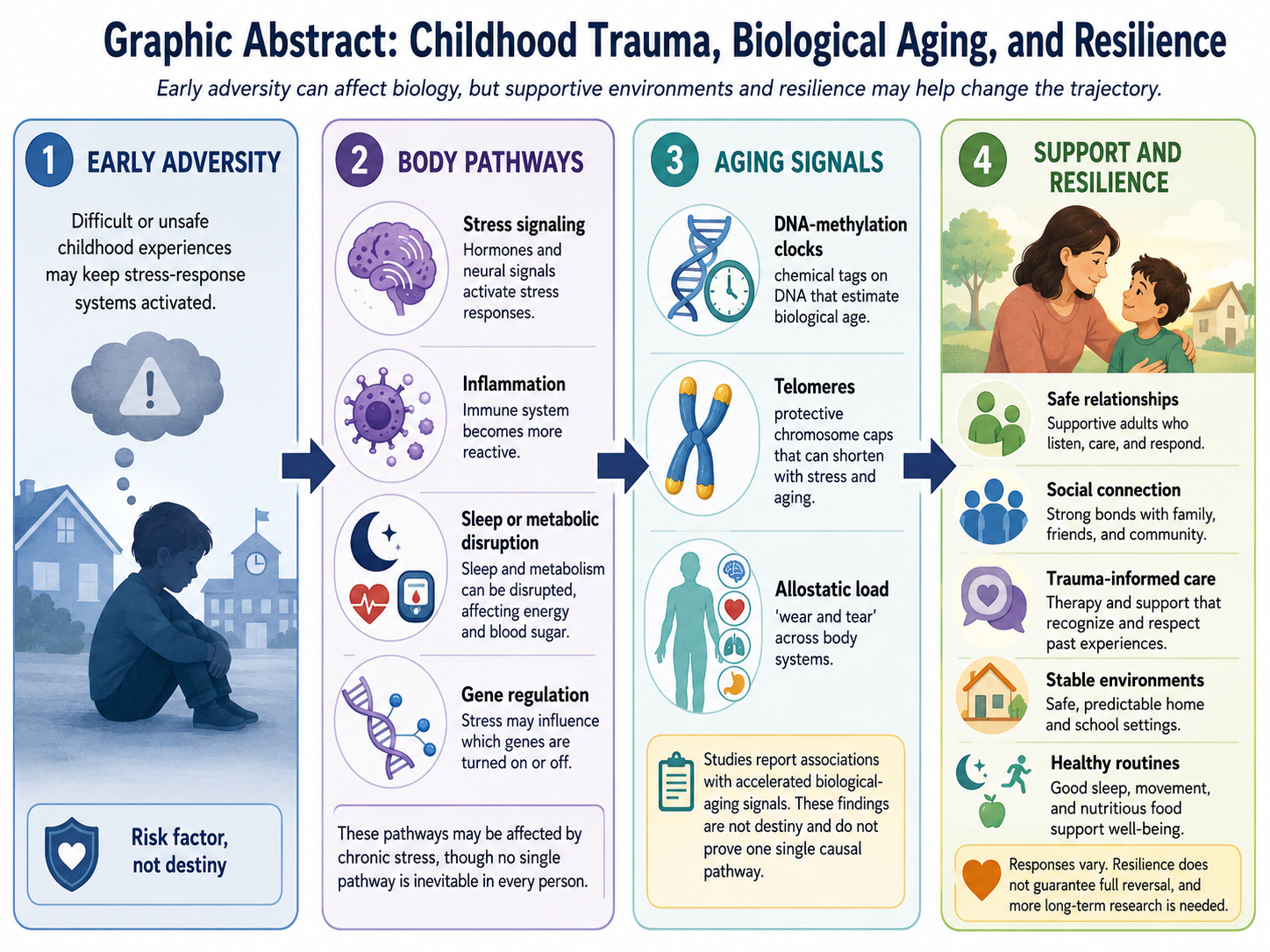 Childhood trauma, biological aging, and resilience graphic abstract