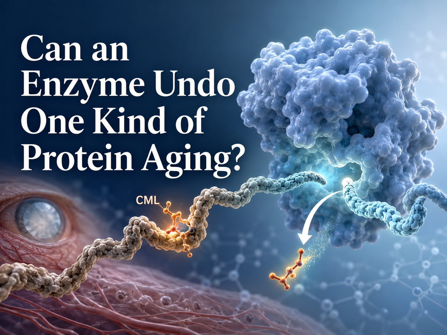 CMLase and deglycation article header