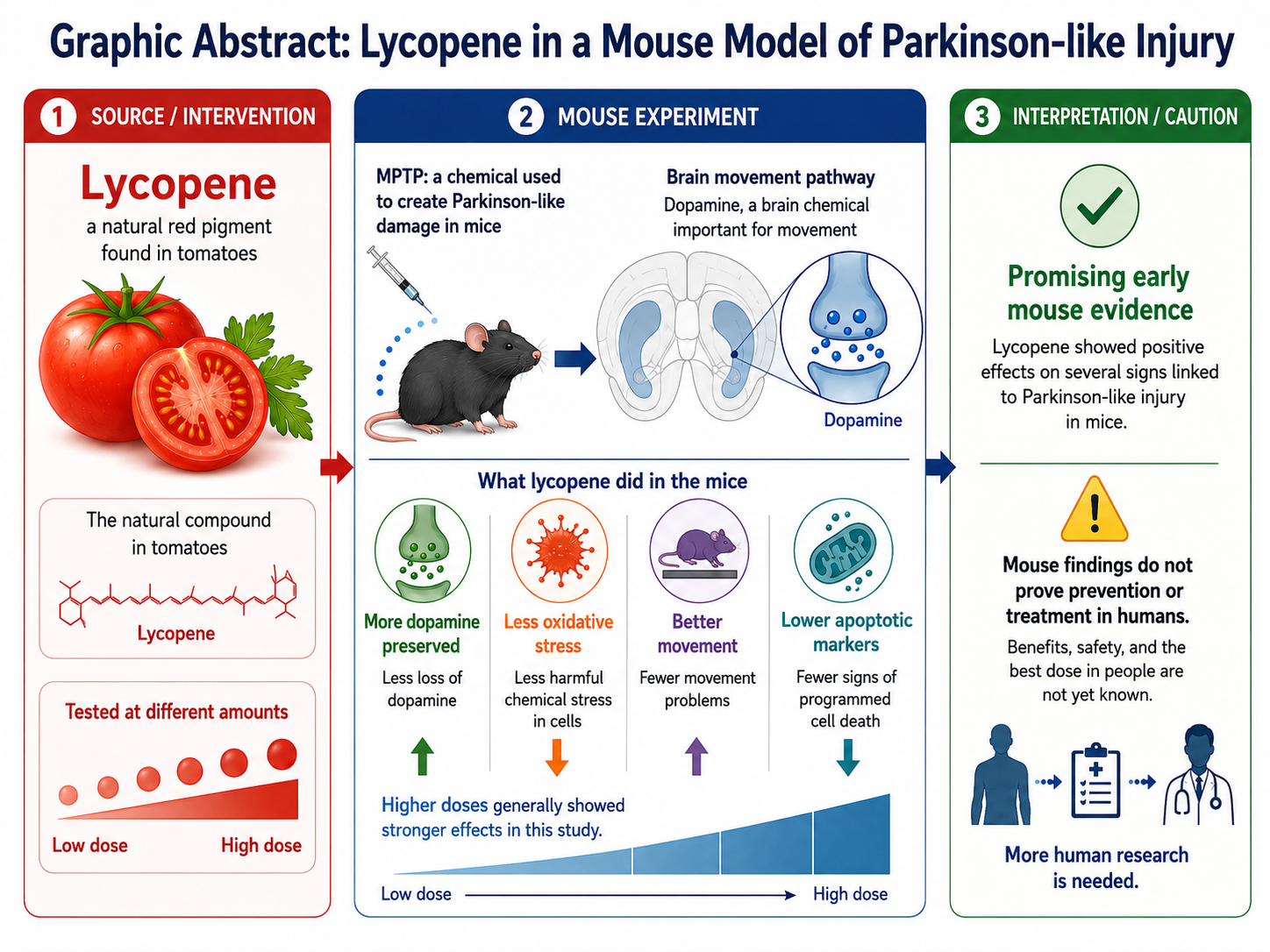 Lycopene and Parkinson's disease article header